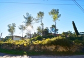Parcel·la urbanitzable en venda a la España, Olivella, ref.: TR389238 foto