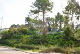 Olivella 1196&nbsp;m²