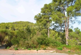 Olivella 1196&nbsp;m²