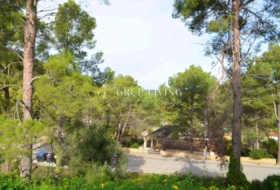 Olivella 1196&nbsp;m²