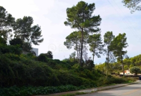 Olivella 1196&nbsp;m²
