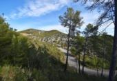 Parcel·la urbanitzable en venda a la España, Olivella, ref.: TR389207 foto
