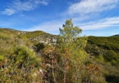 Parcel·la urbanitzable en venda a la España, Olivella, ref.: TR389207 foto