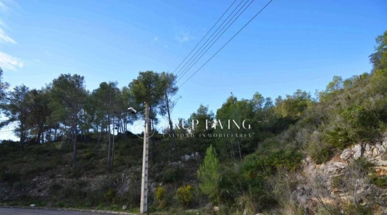 Barcelona - Olivella - 2200m2