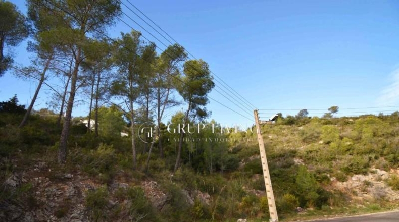 Barcelona - Olivella - 2200m2