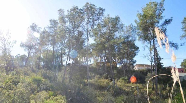 Barcelona - Olivella - 1004m2