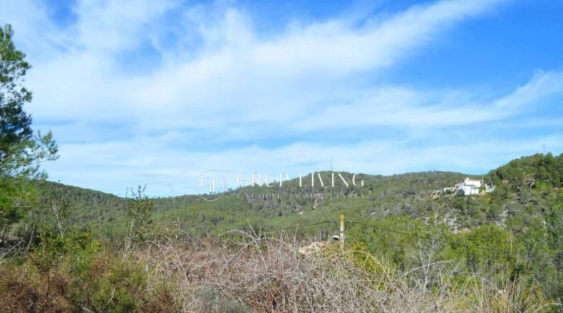 Barcelona - Olivella - 1004m2