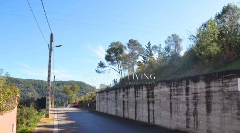 Barcelona - Olivella - 1004m2