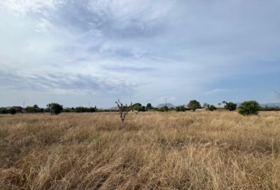 Cartagena 8456&nbsp;m² 