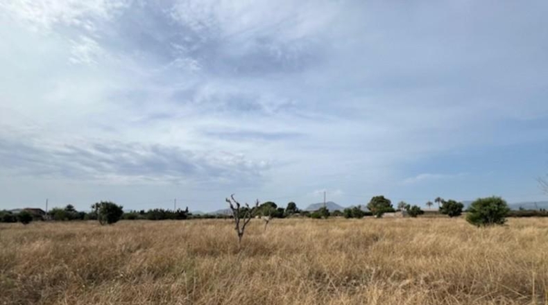 Murcia - Cartagena - 8456m2