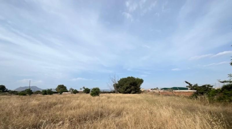 Murcia - Cartagena - 8456m2