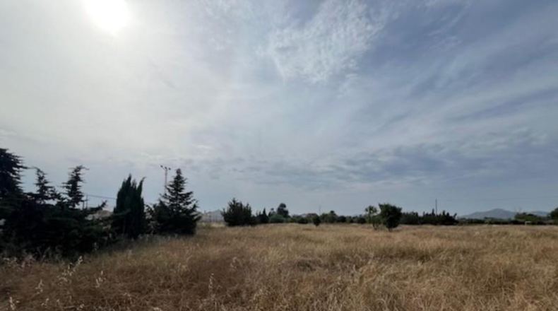 Murcia - Cartagena - 8456m2
