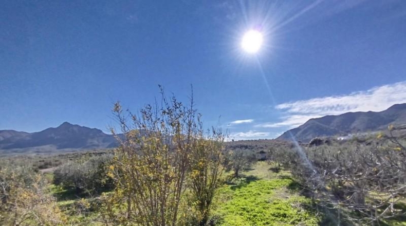 Murcia - Mazarrón - 6800m2