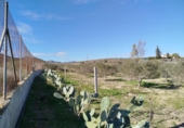 Casa de campo con terreno en venta en la España, Mazarrón, ref: TR400236 foto