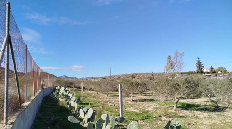 Murcia - Mazarrón - 6800m2