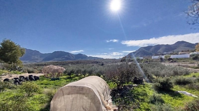 Murcia - Mazarrón - 6800m2