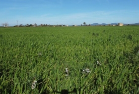Campos 14773&nbsp;m²