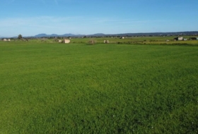 Campos 14773&nbsp;m²