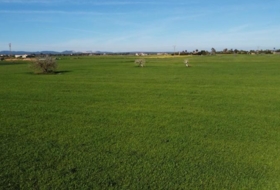 Campos 14773&nbsp;m²