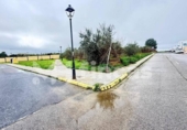 Non-developable land for sale on España, Umbrete, ref: TR389054 photo