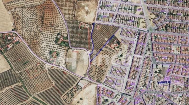 Seville - Umbrete - 24269m2