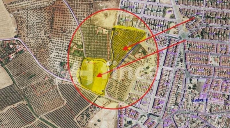 Seville - Umbrete - 24269m2