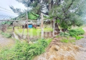 Non-developable land for sale on España, Umbrete, ref: TR389054 photo