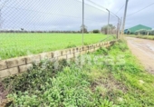 Non-developable land for sale on España, Umbrete, ref: TR389054 photo