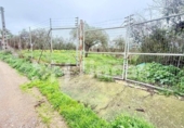 Non-developable land for sale on España, Umbrete, ref: TR389054 photo
