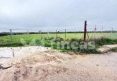 Non-developable land for sale on España, Umbrete, ref: TR389054 photo