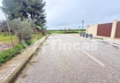 Non-developable land for sale on España, Umbrete, ref: TR389054 photo