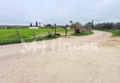 Non-developable land for sale on España, Umbrete, ref: TR389054 photo