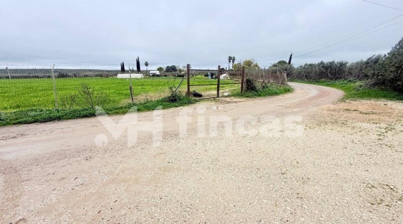 Seville - Umbrete - 24269m2