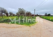 Non-developable land for sale on España, Umbrete, ref: TR389054 photo