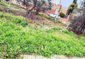 Non-developable land for sale on España, Umbrete, ref: TR389054 photo