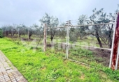 Non-developable land for sale on España, Umbrete, ref: TR389054 photo