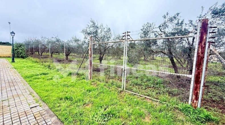Seville - Umbrete - 24269m2