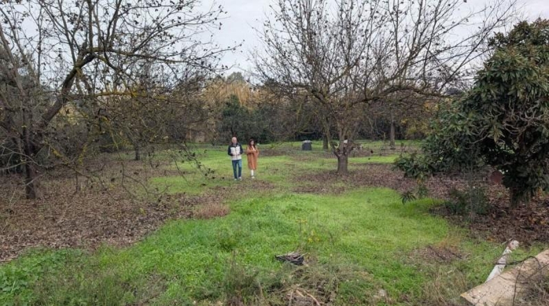 Малага - Alhaurín el Grande - 13000m2