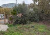 Terreno no urbanizable en venta en la España, Alhaurín el Grande, ref: TR388852 foto