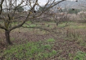 Terreno no urbanizable en venta en la España, Alhaurín el Grande, ref: TR388852 foto
