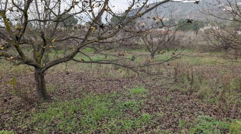 Малага - Alhaurín el Grande - 13000m2