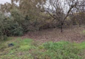 Terreno no urbanizable en venta en la España, Alhaurín el Grande, ref: TR388852 foto