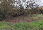 Terreno no urbanizable en venta en la España, Alhaurín el Grande, ref: TR388852 foto