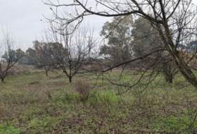Alhaurín el Grande 13000&nbsp;m²