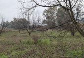 Terreno no urbanizable en venta en la España, Alhaurín el Grande, ref: TR388852 foto