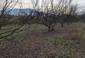 Alhaurín el Grande 13000&nbsp;m²