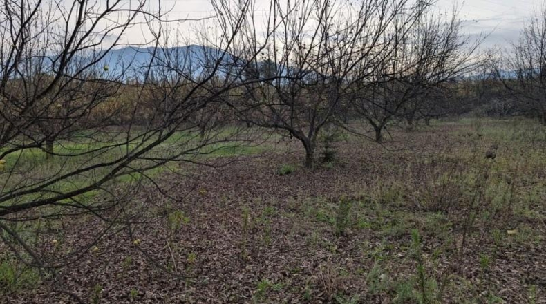 Малага - Alhaurín el Grande - 13000m2