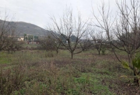 Alhaurín el Grande 13000&nbsp;m²