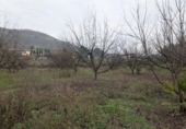 Terreno no urbanizable en venta en la España, Alhaurín el Grande, ref: TR388852 foto