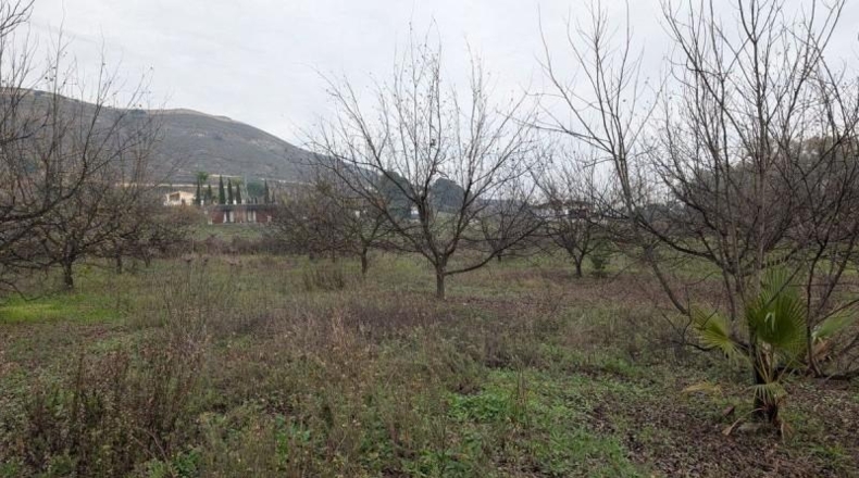 Малага - Alhaurín el Grande - 13000m2